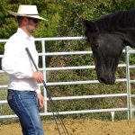 Pierre Crampon HorsemanShip