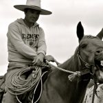 Equicoaching Pierre Crampon Equicoaching Pierre Crampon