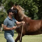 Pierre Crampon Equicoaching Pierre Crampon Equicoaching