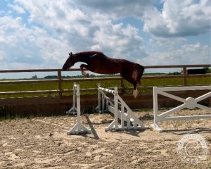 Like Me Sauts Like Me Sauts